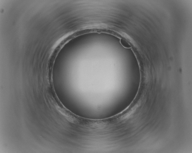 X0000070430830200606231916