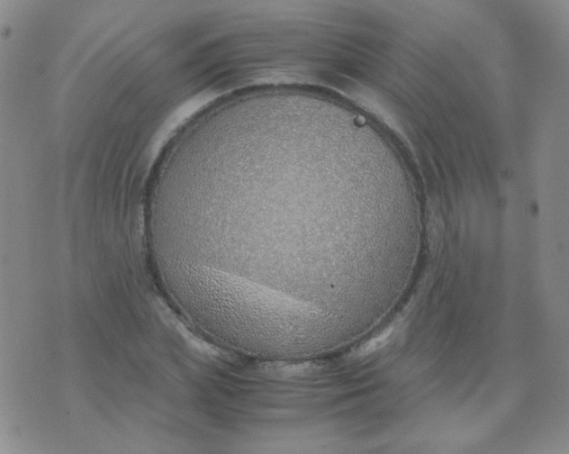 X0000070430831200606231916