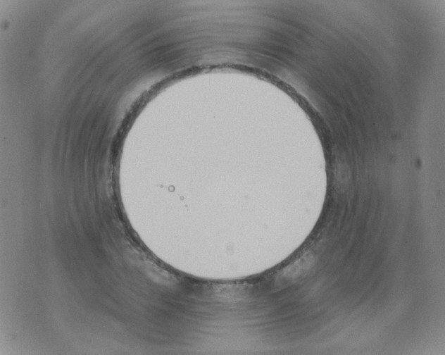 X0000070430832200606231916