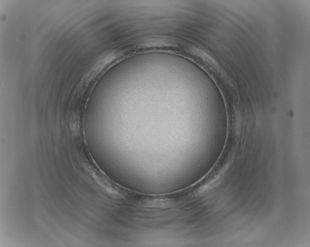 X0000070430833200606231916