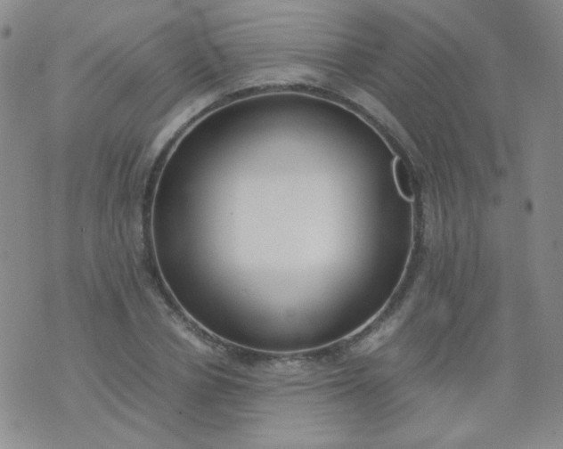 X0000070430834200606231916