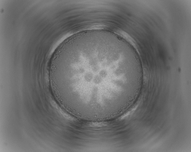 X0000070430835200606231916