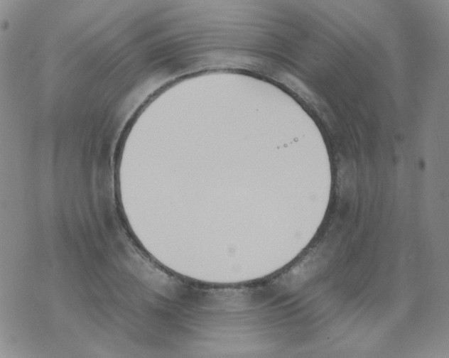 X0000070430836200606231916