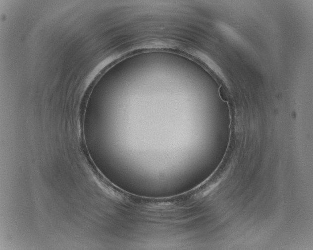 X0000070430837200606231916