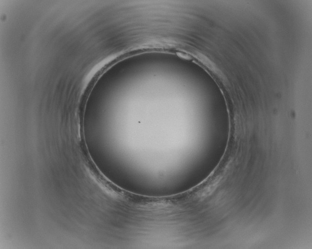 X0000070430838200606231916