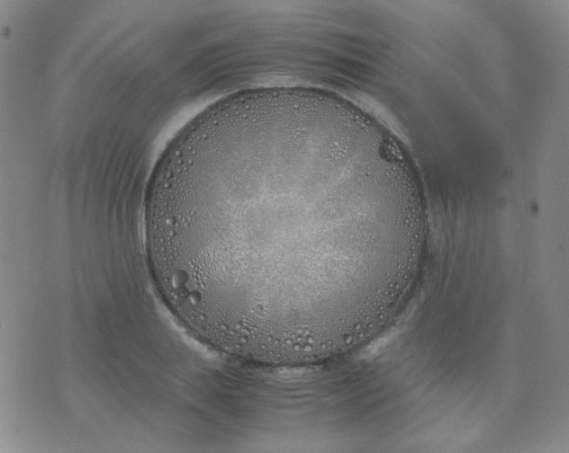 X0000070430839200606231916