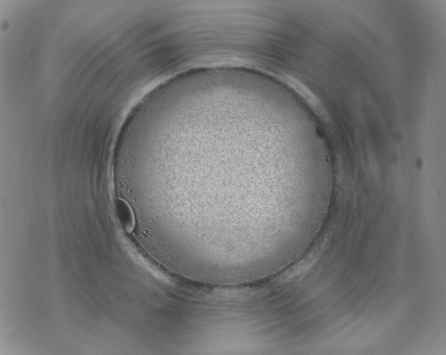 X0000070430840200606231916