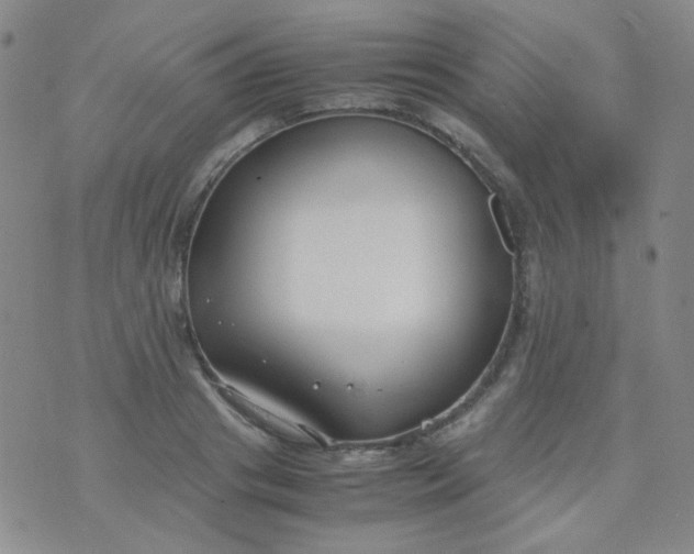 X0000070430841200606231916