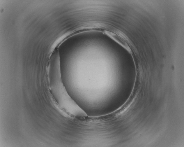 X0000070430842200606231916