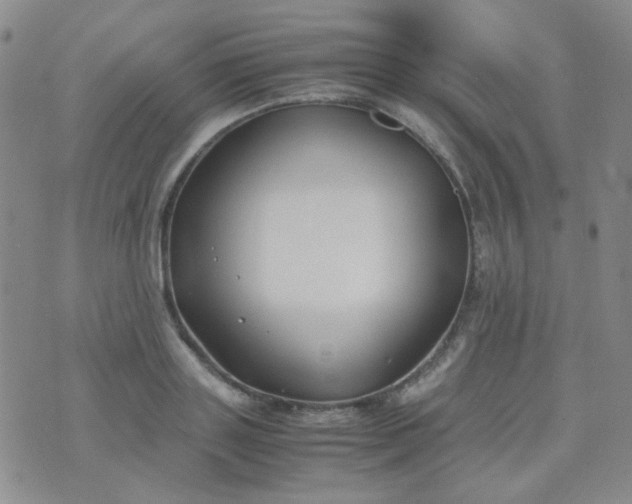 X0000070430843200606231916