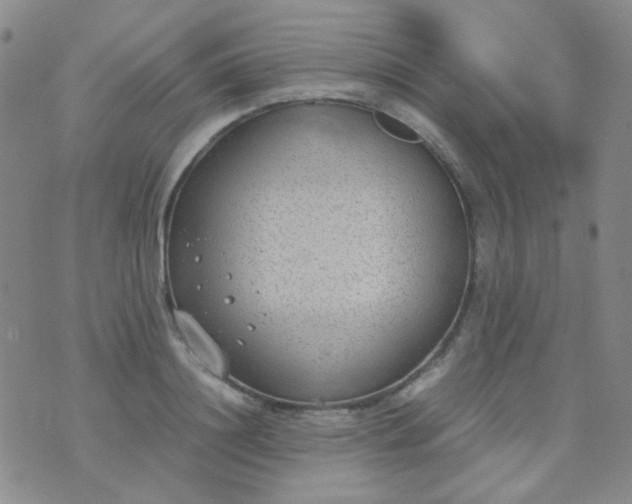 X0000070430844200606231916