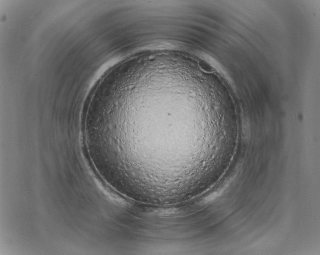 X0000070430845200606231916