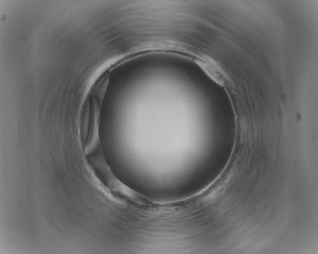 X0000070430846200606231916