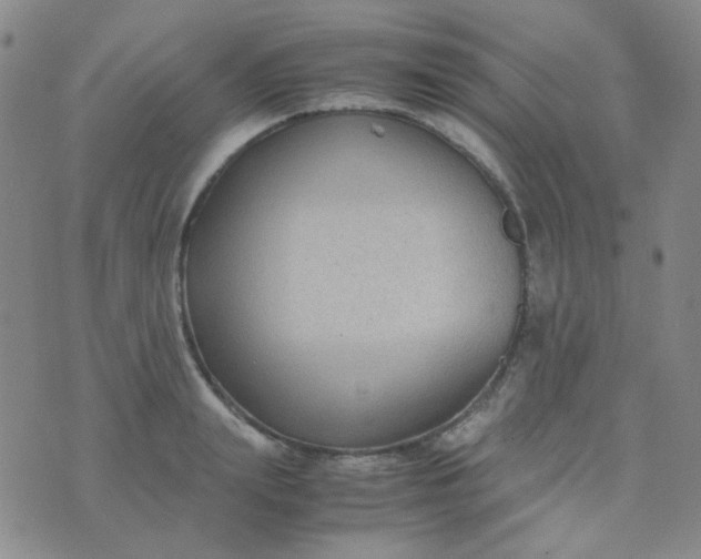 X0000070430847200606231916