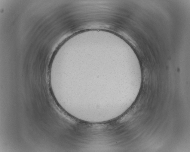 X0000070430848200606231916