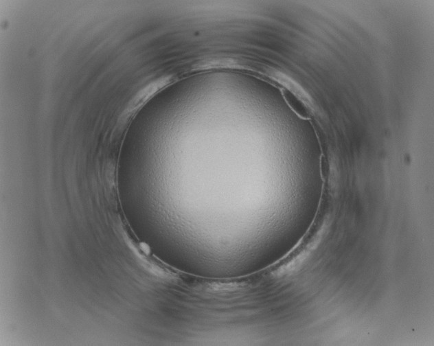 X0000070430849200606231916