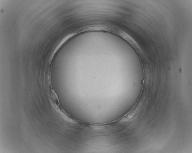 X0000070430852200606231916