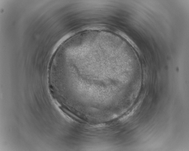 X0000070430853200606231916