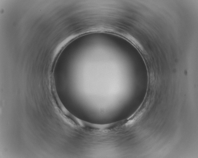 X0000070430854200606231916