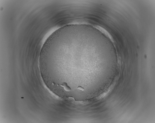 X0000070430855200606231916