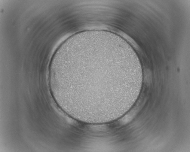 X0000070430856200606231916