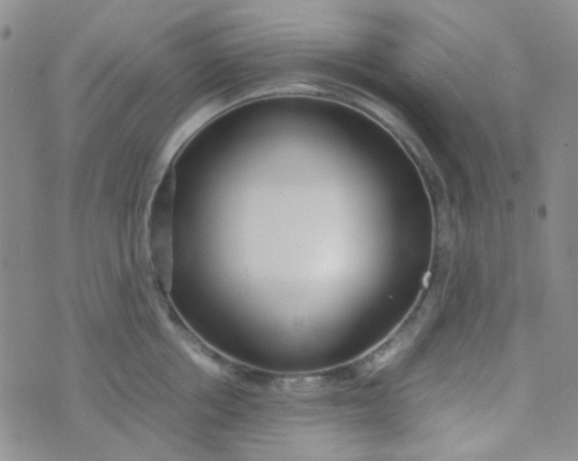 X0000070430858200606231916