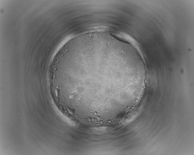 X0000070430859200606231916