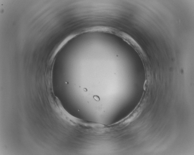 X0000070430860200606231916