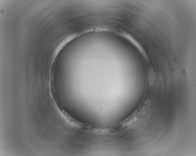 X0000070430861200606231916