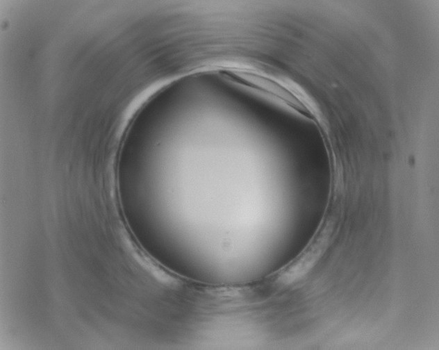 X0000070430862200606231916