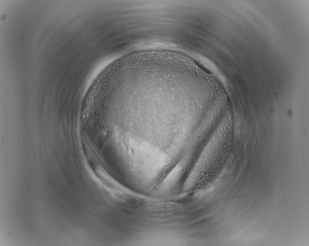 X0000070430863200606231916