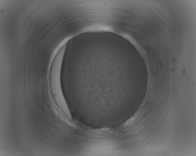 X0000070430864200606231916