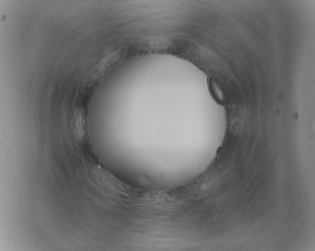 X0000070430866200606231915