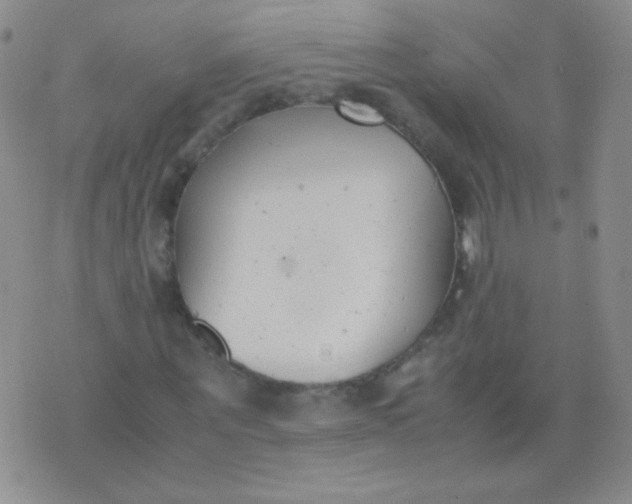 X0000070430867200606231915