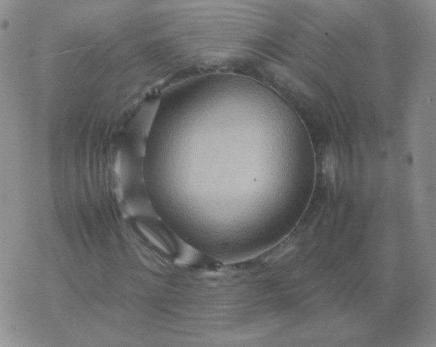 X0000070430868200606231915