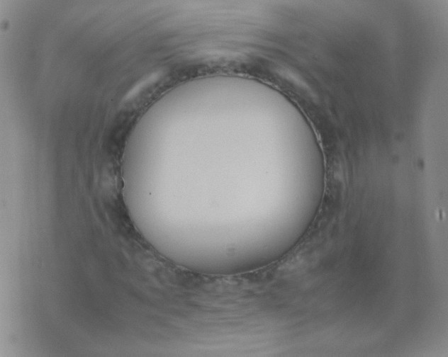 X0000070430869200606231915