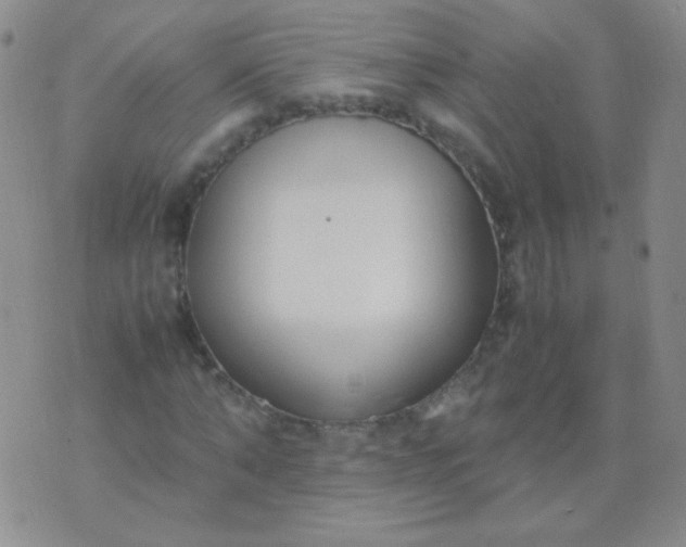 X0000070430870200606231915