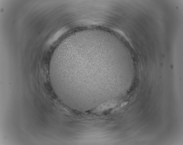 X0000070430871200606231915