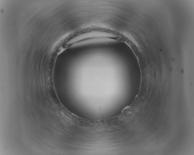 X0000070430872200606231915