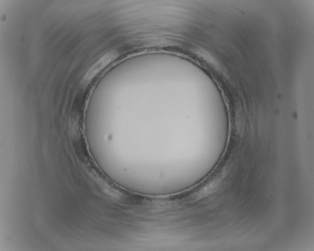 X0000070430873200606231915