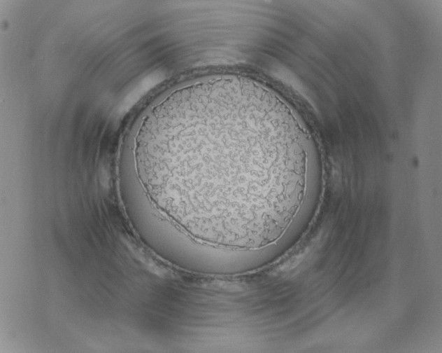 X0000070430874200606231915