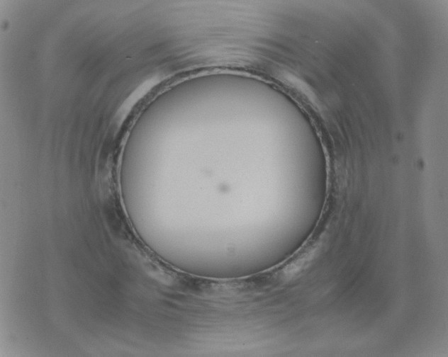 X0000070430875200606231915