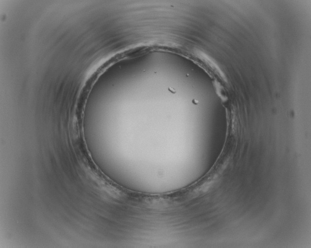 X0000070430876200606231915