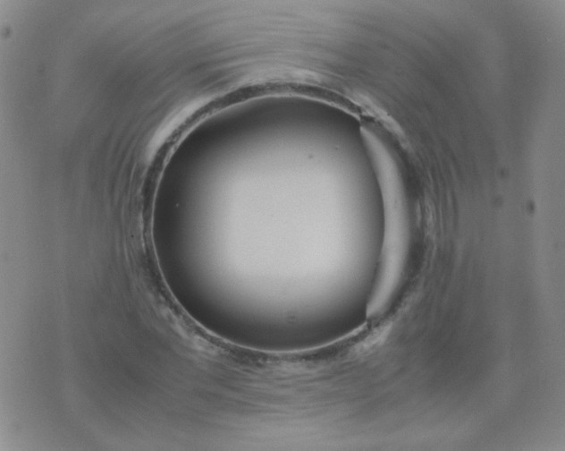 X0000070430877200606231915