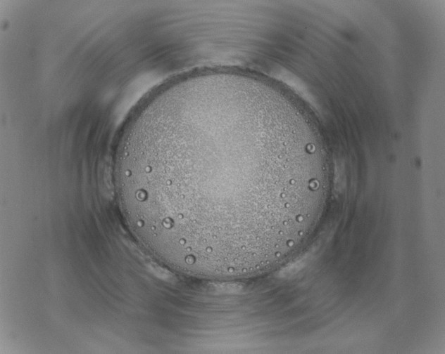 X0000070430878200606231915