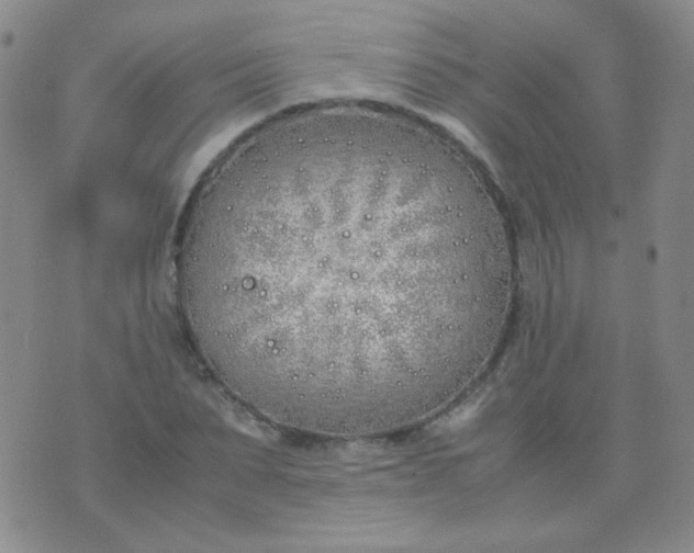 X0000070430879200606231915