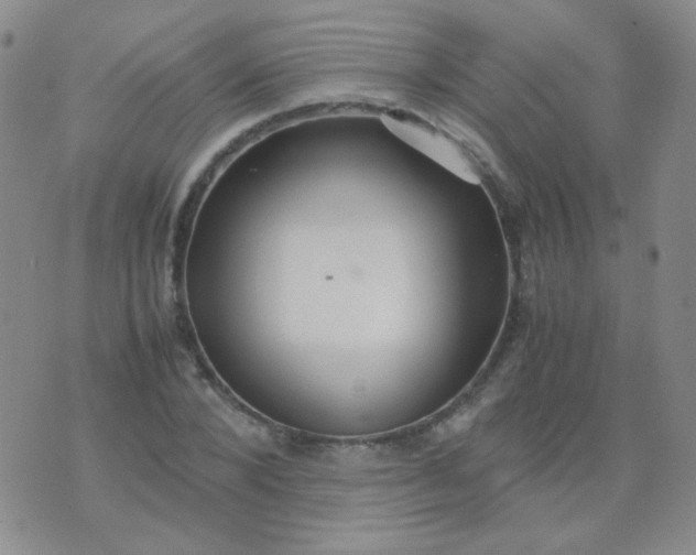 X0000070430880200606231915