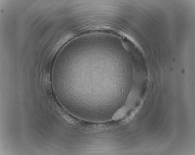 X0000070430881200606231915