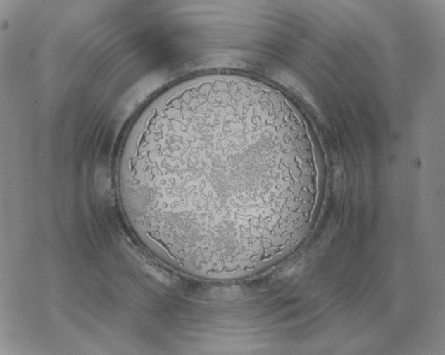 X0000070430882200606231915