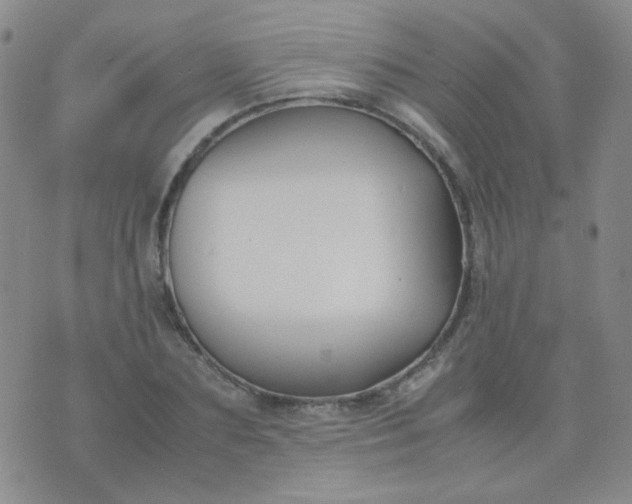 X0000070430883200606231915